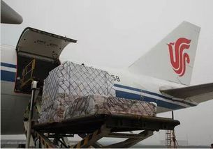 什么 你邮包裹要72小时 海航货运运送鲜松茸到日本才用了23小时